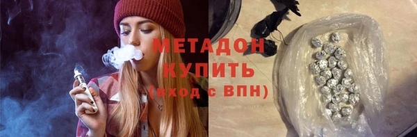 прущие грибы Нягань