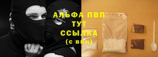 прущие грибы Нягань