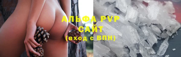 прущие грибы Нягань