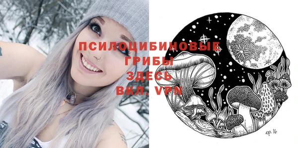 хмурый Ветлуга