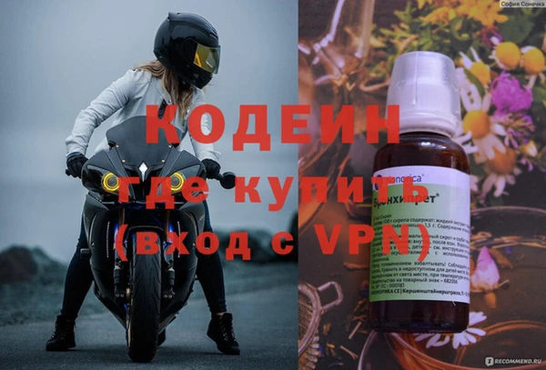прущие грибы Нягань