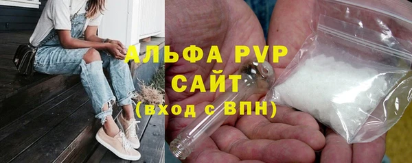 хмурый Ветлуга
