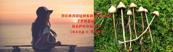 прущие грибы Нягань