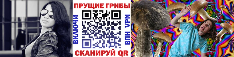 Псилоцибиновые грибы прущие грибы  Выборг 
