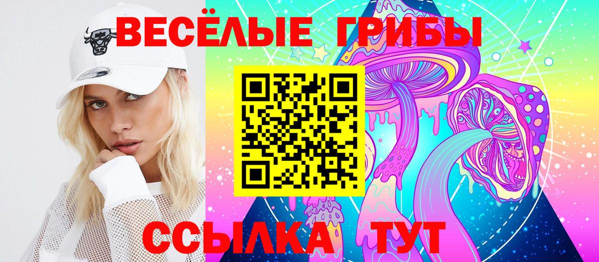 Псилоцибиновые грибы Psilocybine cubensis  Вход с VPN  Выборг 