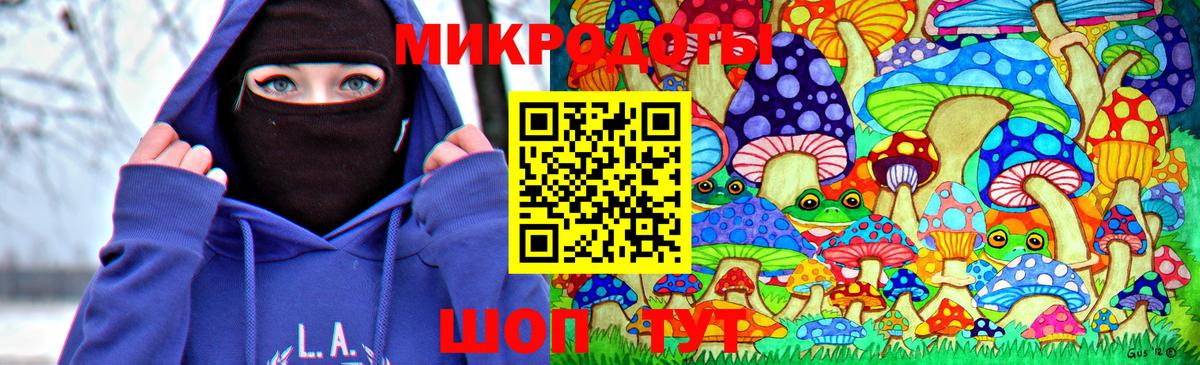 Галлюциногенные грибы прущие грибы  Выборг 