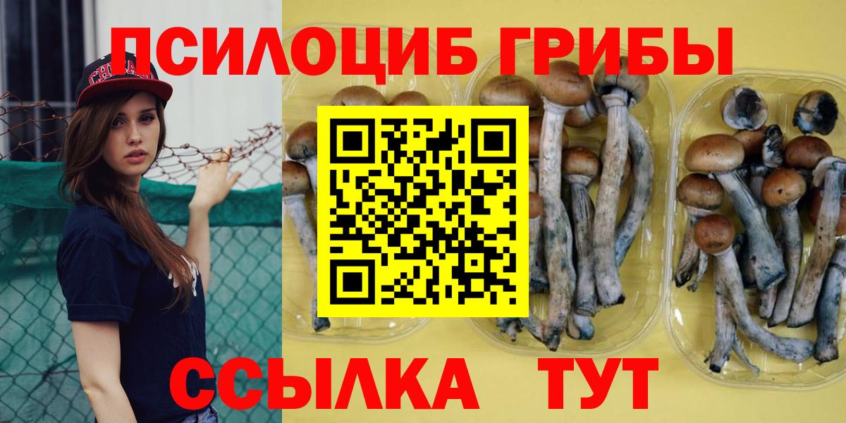 Галлюциногенные грибы мицелий Выборг