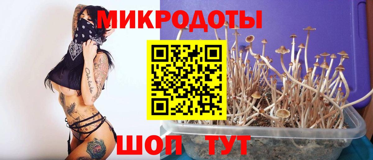 Псилоцибиновые грибы ЛСД Выборг