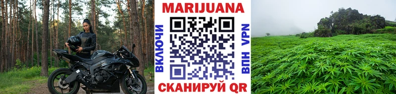 Шишки марихуана планчик  хочу наркоту  Выборг 