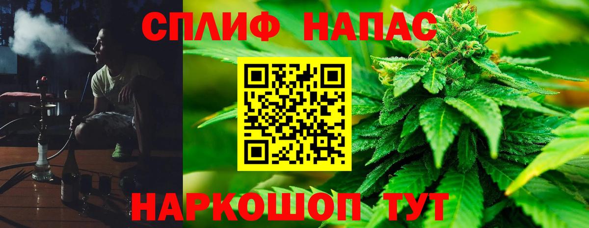 Канабис конопля Выборг